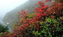 又是一年，春光美