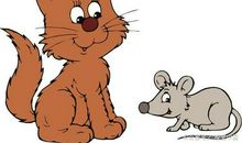 看图写话老鼠偷吃猫的蛋糕