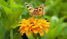 笑容如花一般绽放