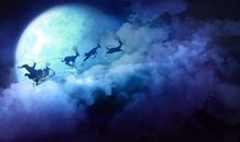 在那些有月光的日子里