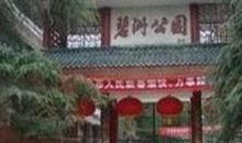 我爱家乡的碧洲公园