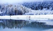 冬日里的“风”