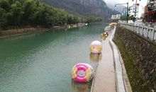 在芦茨村的溪水里游泳