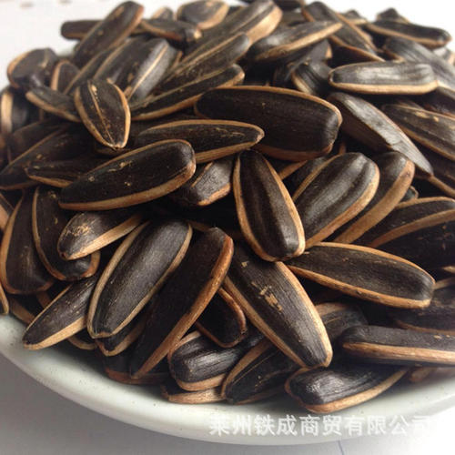 三瓜种子_750字