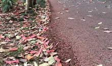 我努力读懂苦难