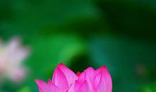 雨中，我坚强了！