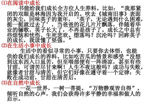 那时我长大了写500个字
