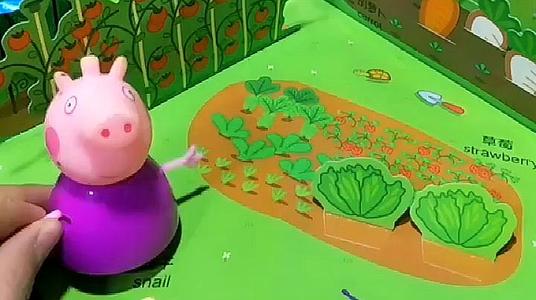 爷爷的菜园是我的天堂