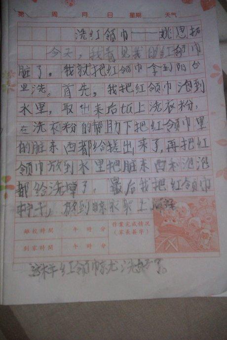 我学会了洗红围巾的成分