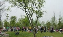 春游白马湖公园