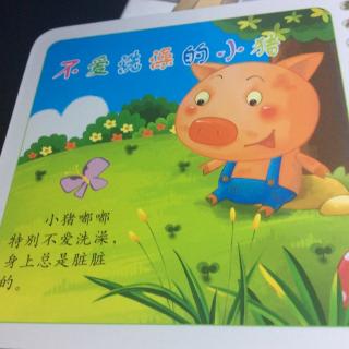 不喜欢洗澡的猪