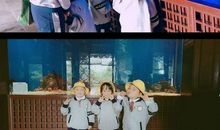 我的“大鱼”老师