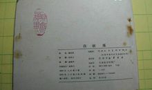 我希望童年是白色的