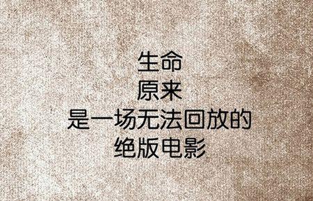 人生感悟