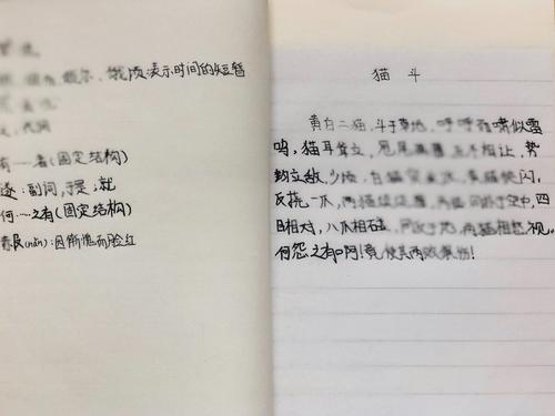 改写中国古代猫斗