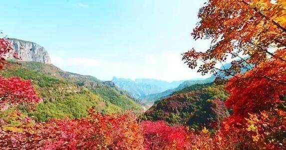 风景如画的微山