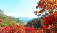 四季如画的卫山