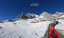 哲理故事：跑向山顶的高原兔_450字