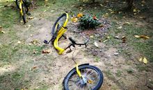 美妙的共享单车