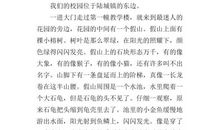 美丽的鄂州作文500字