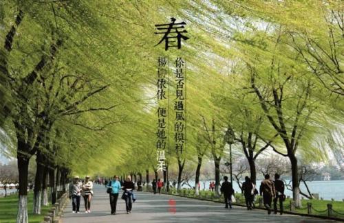 四个季节的自白