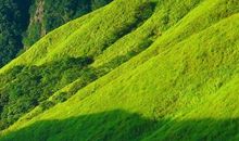 我为大自然添份绿