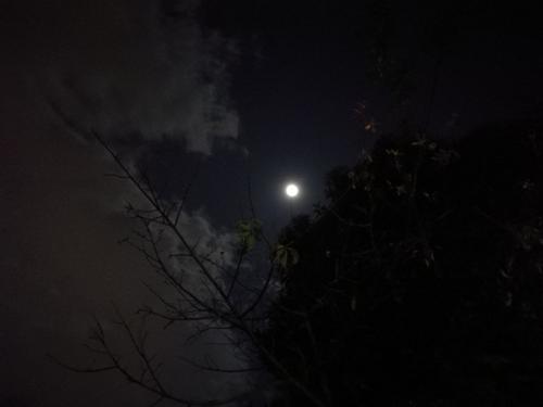 童年的月夜