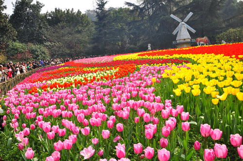 游览花园