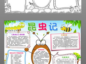昆虫观察