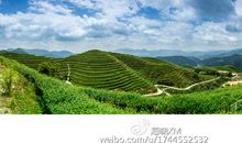 童年茶园老房子