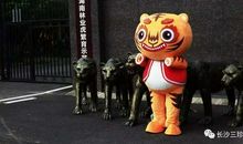 那一次有趣的尝试