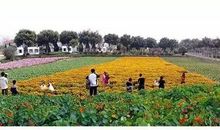 生态园踏春之行