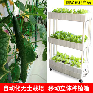 无土栽培的秘诀