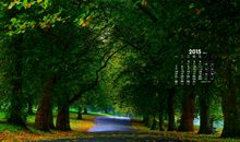 转角处那道美丽的风景