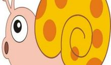 路上的一只小蜗牛