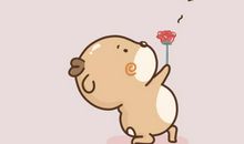 十三个“谢谢”