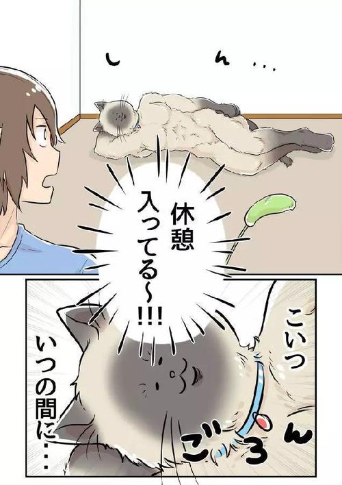 我为什么这么好笑