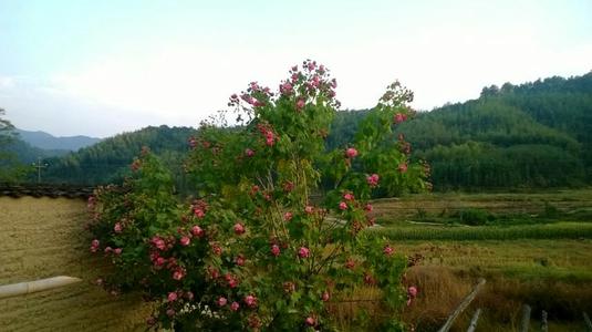 故乡的四个季节之美