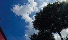 一次舌尖上的行走