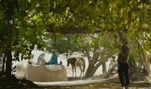 离别也是一种享受