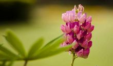 想起妈妈说过的话