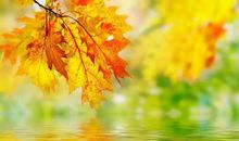 不曾改变的是秋风