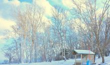 我喜欢冬天的雪花