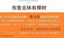 读《布鲁克林有棵树》有感