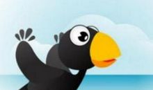 哲理故事：乌鸦妈妈_550字