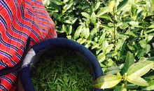 沉醉在母爱的春风里