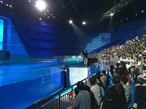 参观万达水族馆