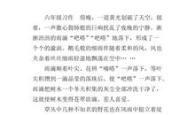 描写雨景的抒情的作文