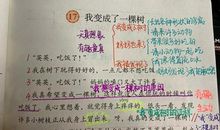 老师，您就如一棵树