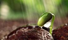 生命不在于长短